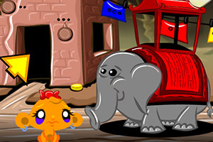 ��С�￪��ϵ��19