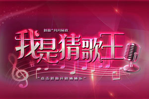 ���ǲ¸���