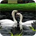 http://imga4.5054399.com/upload_pic/2022/3/4/4399_11110865147.jpg