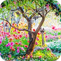 《所罗门群岛》第5集：2天1夜荒岛探索，首次抓获巨型斑马皮皮虾，和会喷水的射水鱼