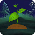 【植物大战僵尸杂交版】周年庆