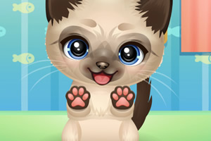 �չ�������Сè