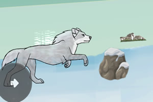 ƴ������