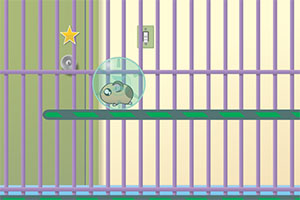 ����Թ���