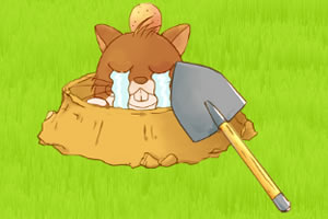 ����ô����