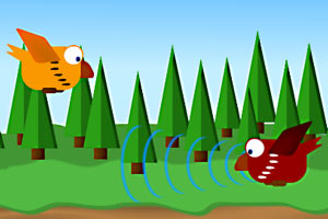 ������С��