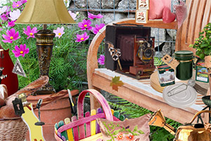 ��԰�������