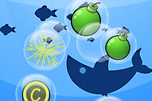 ���С����