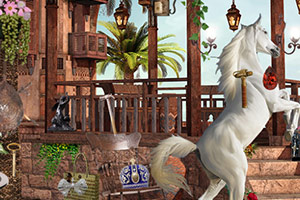 �߹�Ķ�����