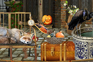 ���ŵ�����