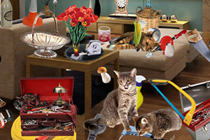 ��ʧ��Կ��Ȧ