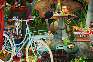 ����������