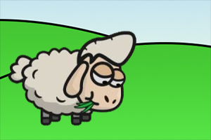 ҡ������