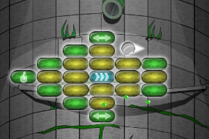 ���ߴ�ש��