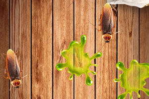 ���ó���