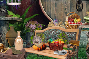 ��������·