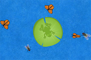 ����Ҫ��ʳ