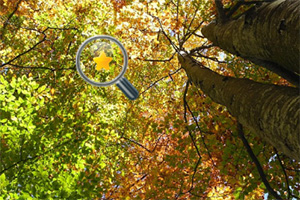 ���صĽ�ɫ����