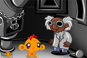 ��С�￪��ϵ��355