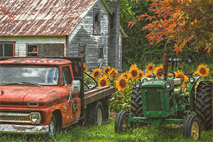 �Ͼ����������2