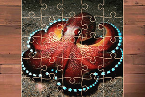 ˮ�ж���ƴͼ