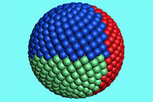 ��ʵ�������