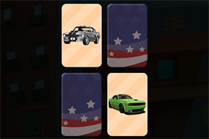 ��ʽ�������俨