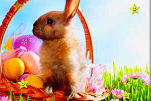 �����Ѱ���ص���