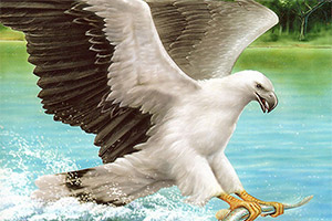 �����ķ���