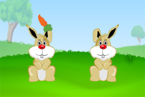 С���Ӱ����ܲ�