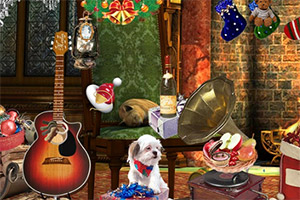 ʥ���Ϲ���������