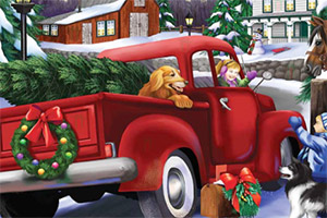 ʥ������������