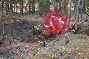 ������������ɭ��