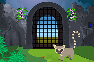 ����Ի͵Ĵ�ׯ