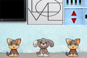 ��Ԯ�����ֻ���Ů��