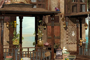 �������Ĺ���