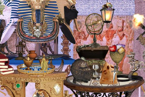 ������Ĳ����