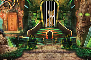 ɽ��è����