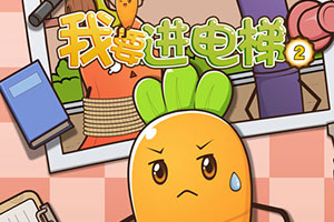 ��Ҫ������2