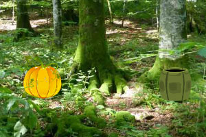 ��͵�ɭ������