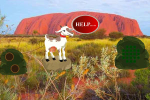 ɽ���������