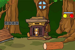 ��Ԯ�ƺ�ɫèͷӥ