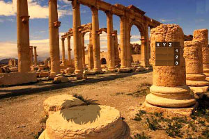 ����֮������