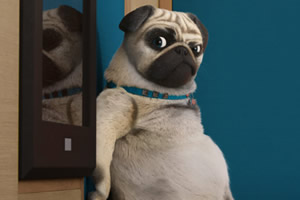 ��������ƴͼ