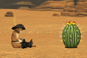 ��ѥ�ӵ�è׽��