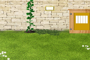 ��Ͼ�����