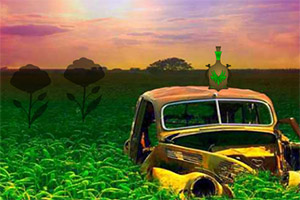 ������Ȼ����