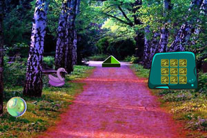 ����ľżɭ������