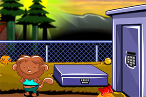 ��С�￪��ϵ��555