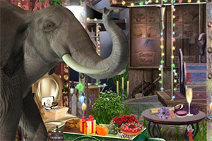 ������Ϸ��